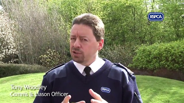 Liverpool Echo _Could you confront an animal abuser. Inspector jobs up for grabs at RSPCA 8Mar17