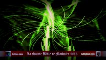 ✅ La Sainte Bible de Machaira 2016 - Jean 11 - LeVigilant.com