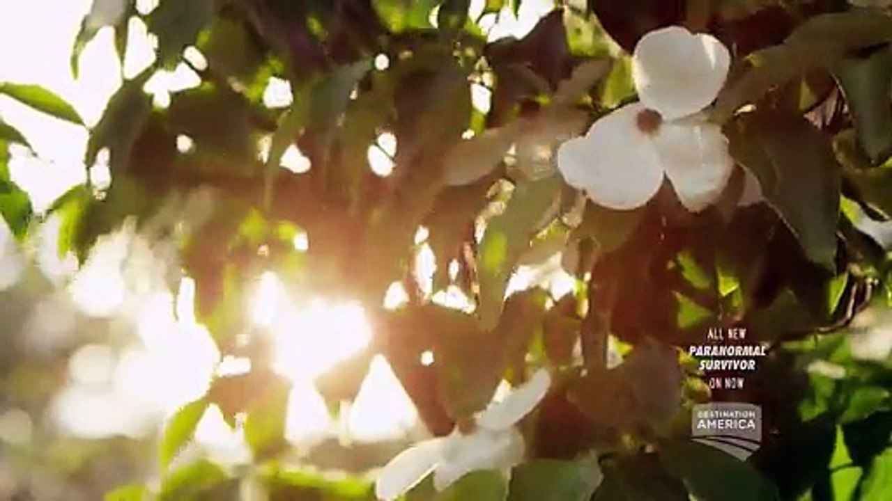 Paranormal Survivor S01E04 - Spirit Protectors