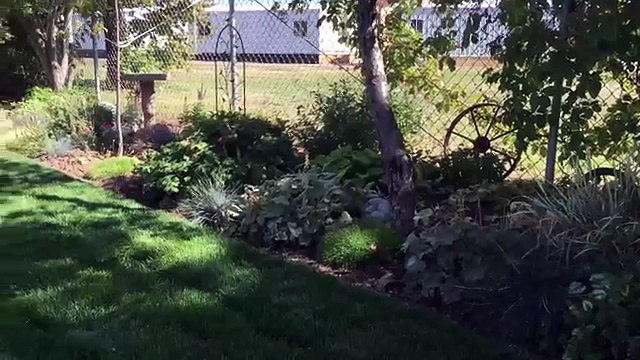 Семейный Человек-паук Человек-паук шпатель девушка против крыс шалость весело супергерой дети в реальной жизни