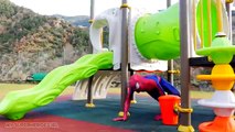 Spiderman Convertido En SupermanSpider Vs T-Rex Con Frozen Elsa Diversión Superhéroe En La Vida Real Mov