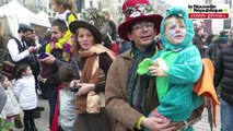 Poitiers. Un carnaval version rétro-futuriste