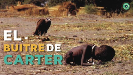 El buitre de Carter: Una foto con una dura historia