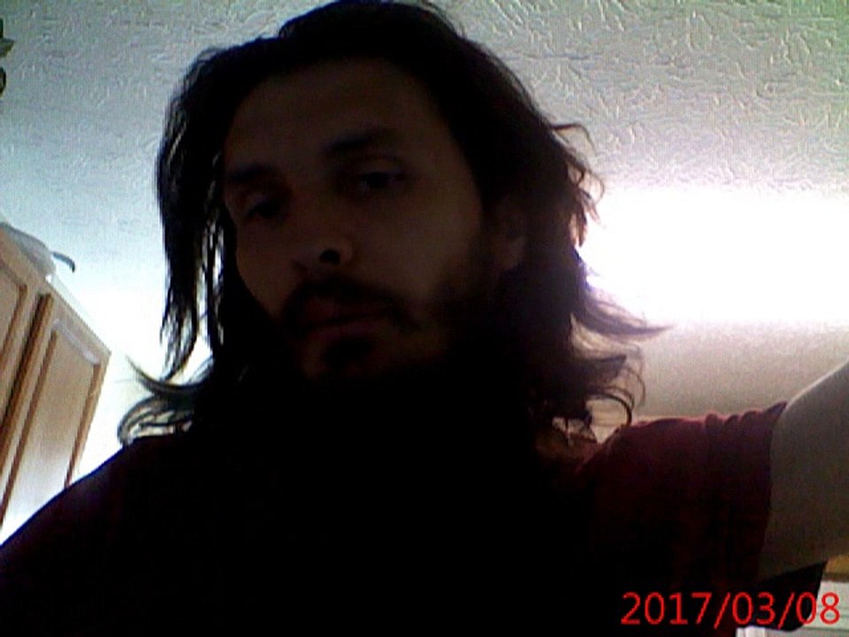 Video log