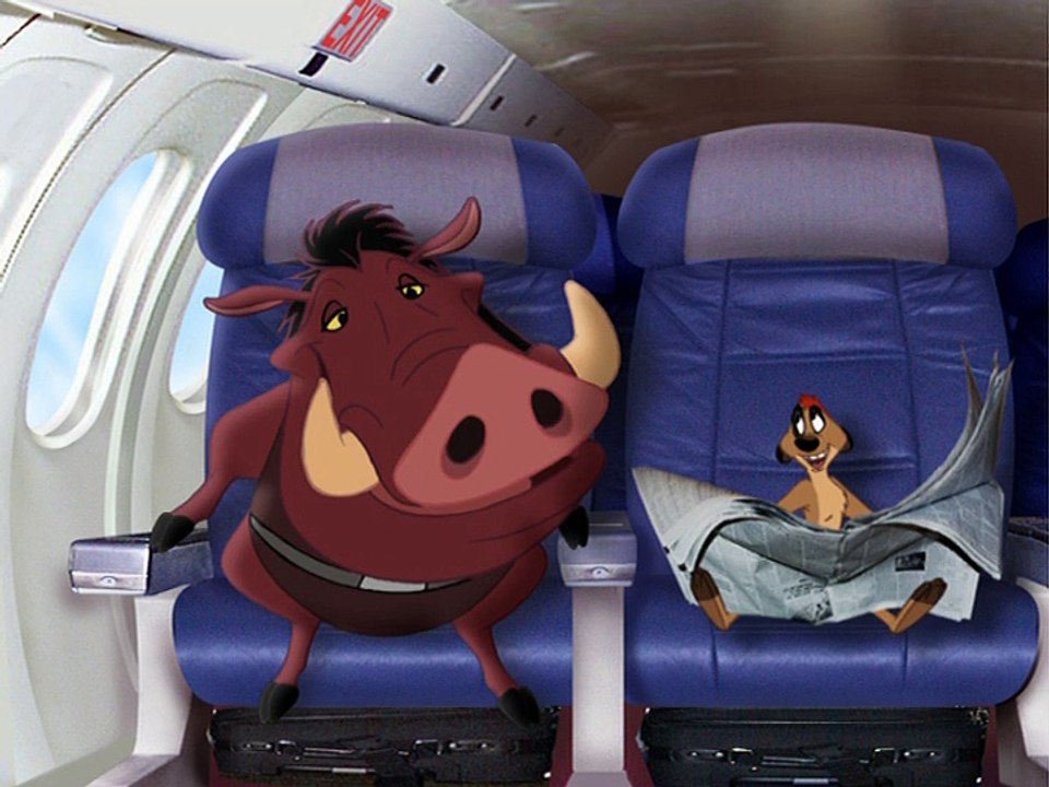 Find Out Why: Flight