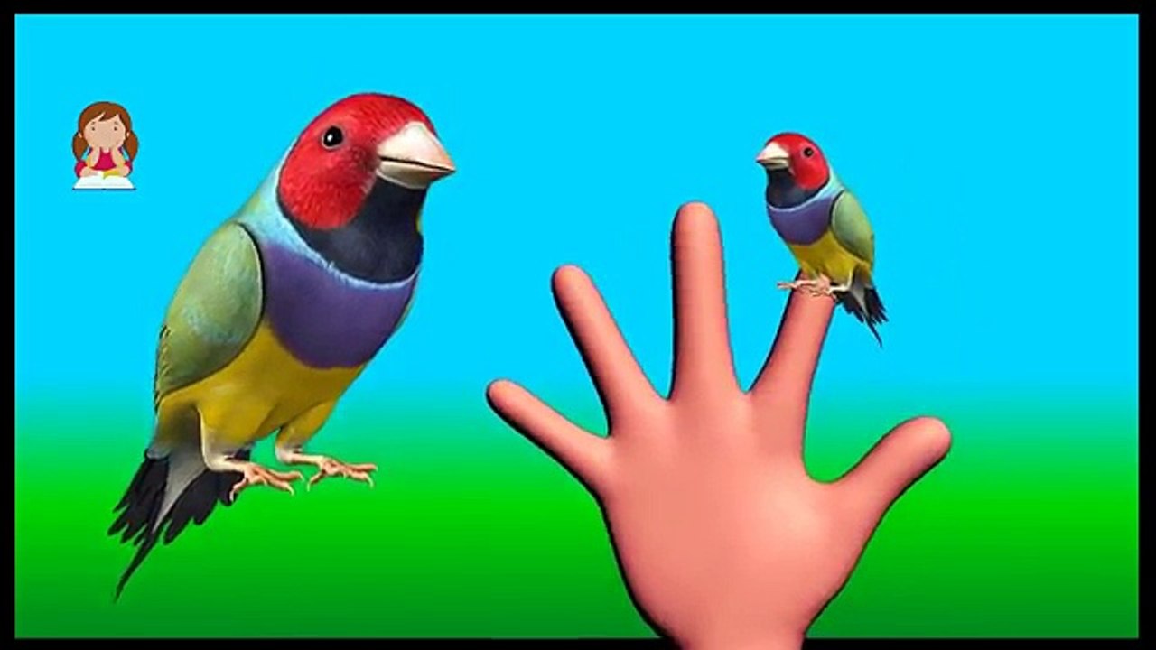 Finger Family Song | 3D Nursery Rhymes | Learning Videos For Kids
