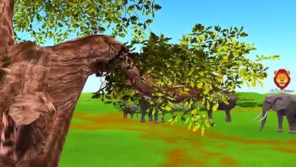 Elephant and Sparrow Funny 3D Animation Video For Kids | Elephant Vs Lion Short Movie For Children