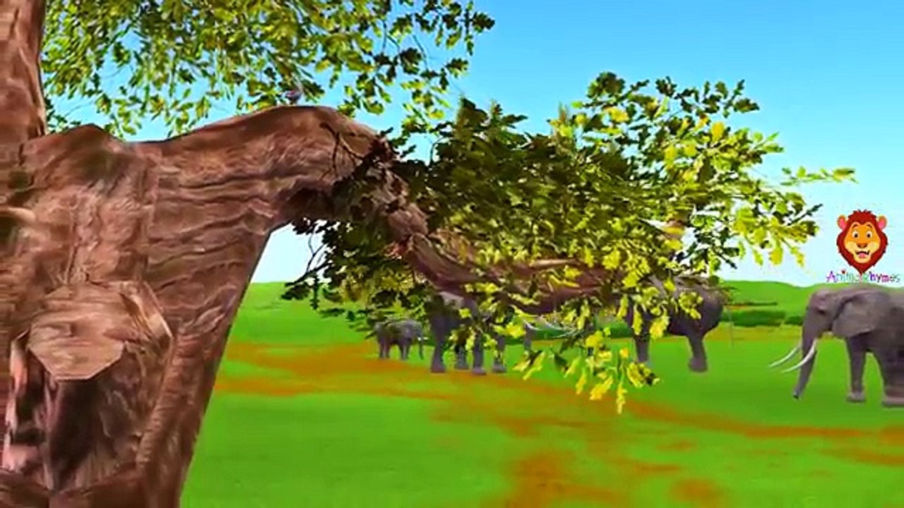Elephant and Sparrow Funny 3D Animation Video For Kids | Elephant Vs Lion Short Movie For Children
