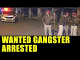Punjab police arrest wanted gangster, supporters create ruckus : Watch video | Oneindia News