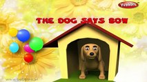 The Dog Says Bow Bow Lyrical Video | English Nursery Rhymes Full Lyrics For Kids & Childre