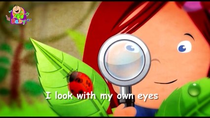 The 5 Senses - Toyor Baby English