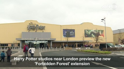 Harry Potter's 'Forbidden Forest' set to open near London