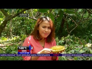 Pelajari Proses Pembuatan Cokelat melalui Tur di Bali - NET 12