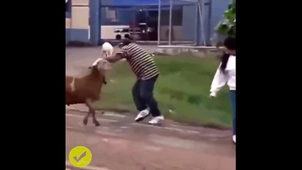 HAHAHA  Ang dami ko na naman tawa dito!!