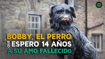 Bobby, el perro que esperó 14 años a su amo fallecido