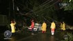 Queda de árvore e raio matam duas pessoas em São Paulo