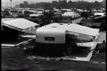 Clio the talking basset hound