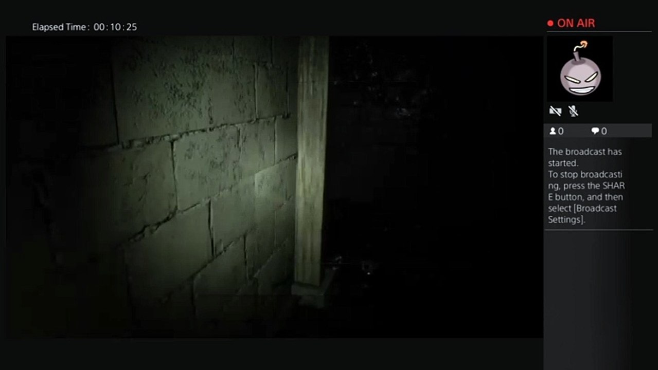 Resident evil  7  part two (4)