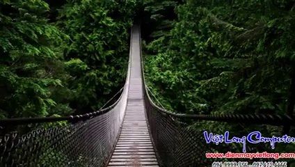 The beauty of nature's nature - BEAUTIFUL BEAUTY