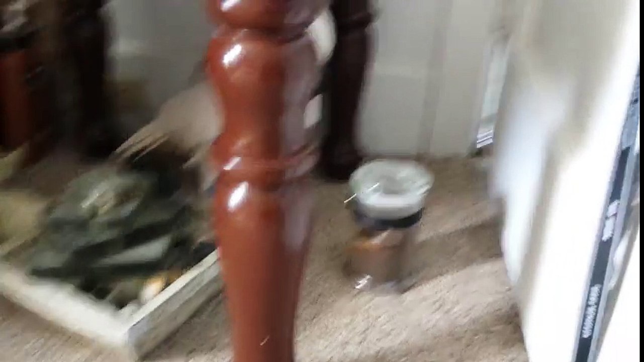 Cockatoo Mad he is going to the vet