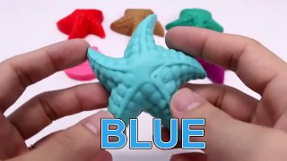 Learning Colors Shapes & Sizes with Woo533634