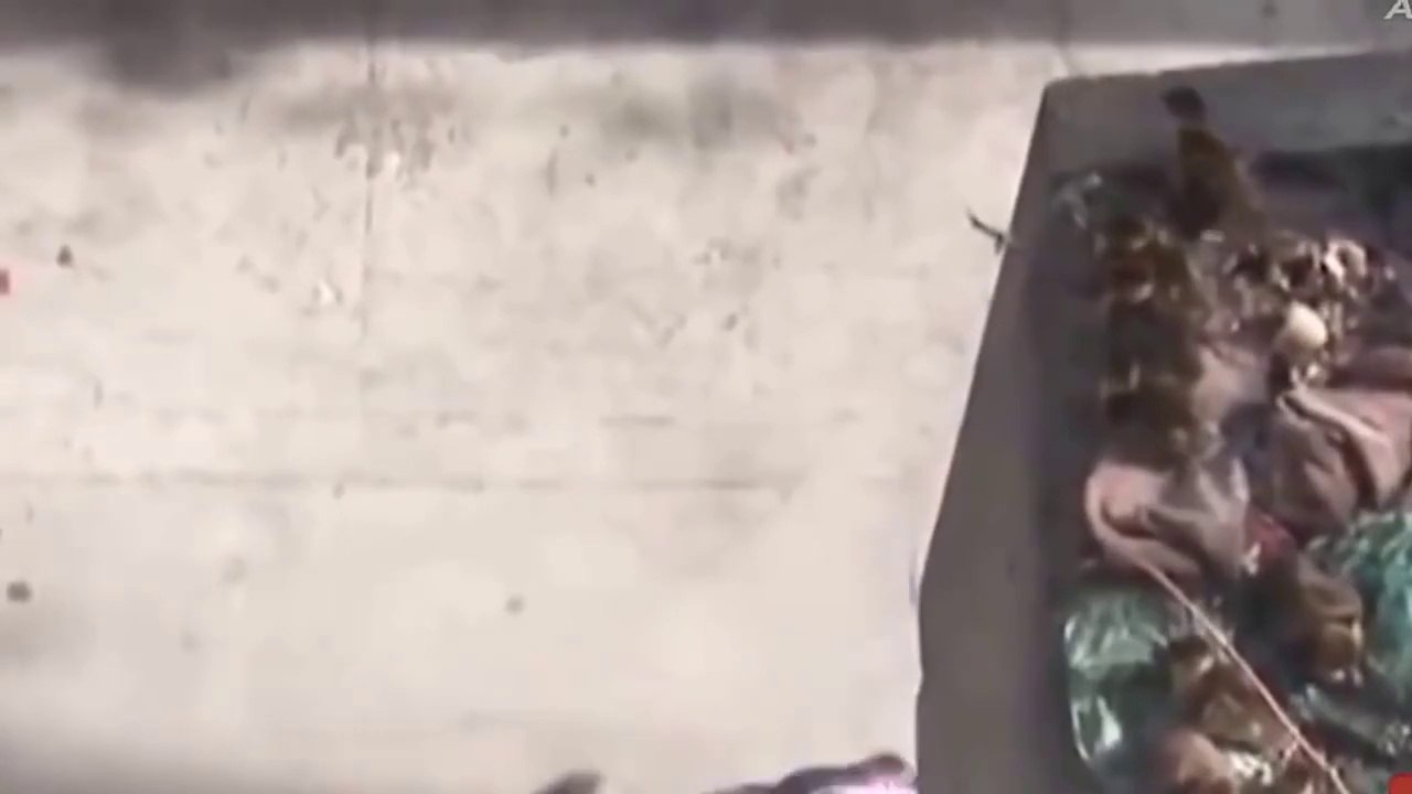 World most Shocking Video that made the whole wor