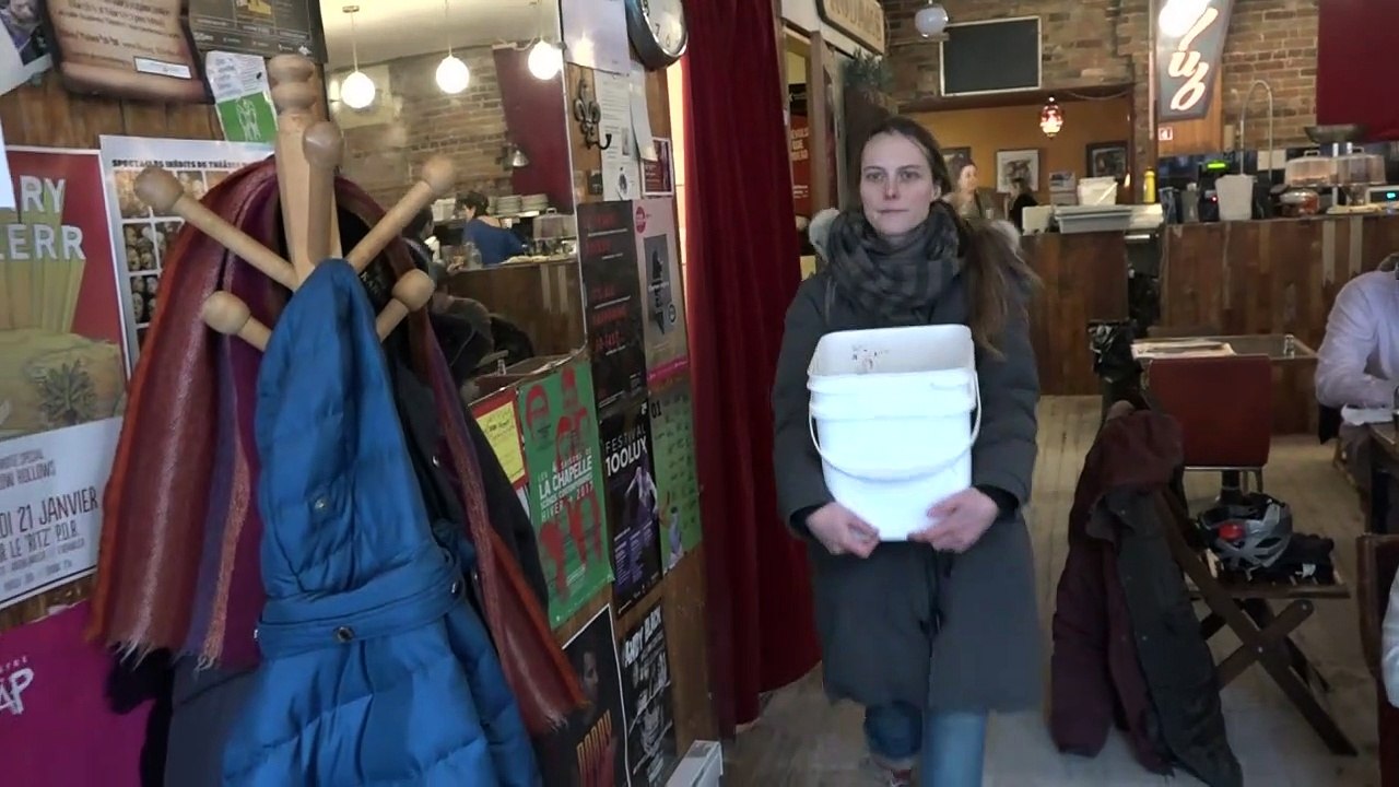 A Montréal, les pleurotes font tourner l'économie circulaire