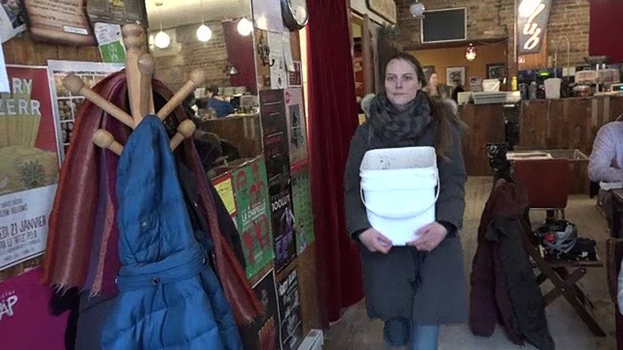 A Montréal, les pleurotes font tourner l'économie circulaire