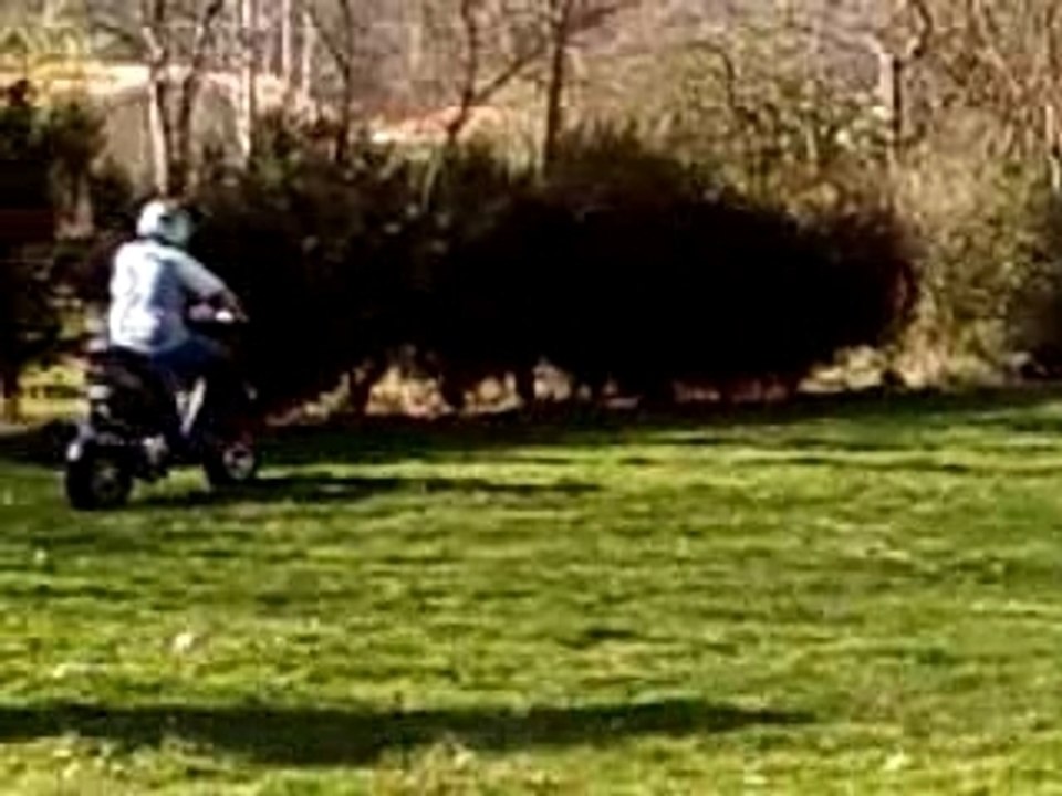 moi en scoot
