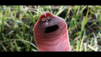 Funny worms - Funny cartoon humor