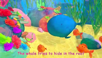 Baby Blue Whale Song | + More Nursery Rhymes & Kids Songs - ABCkidTV