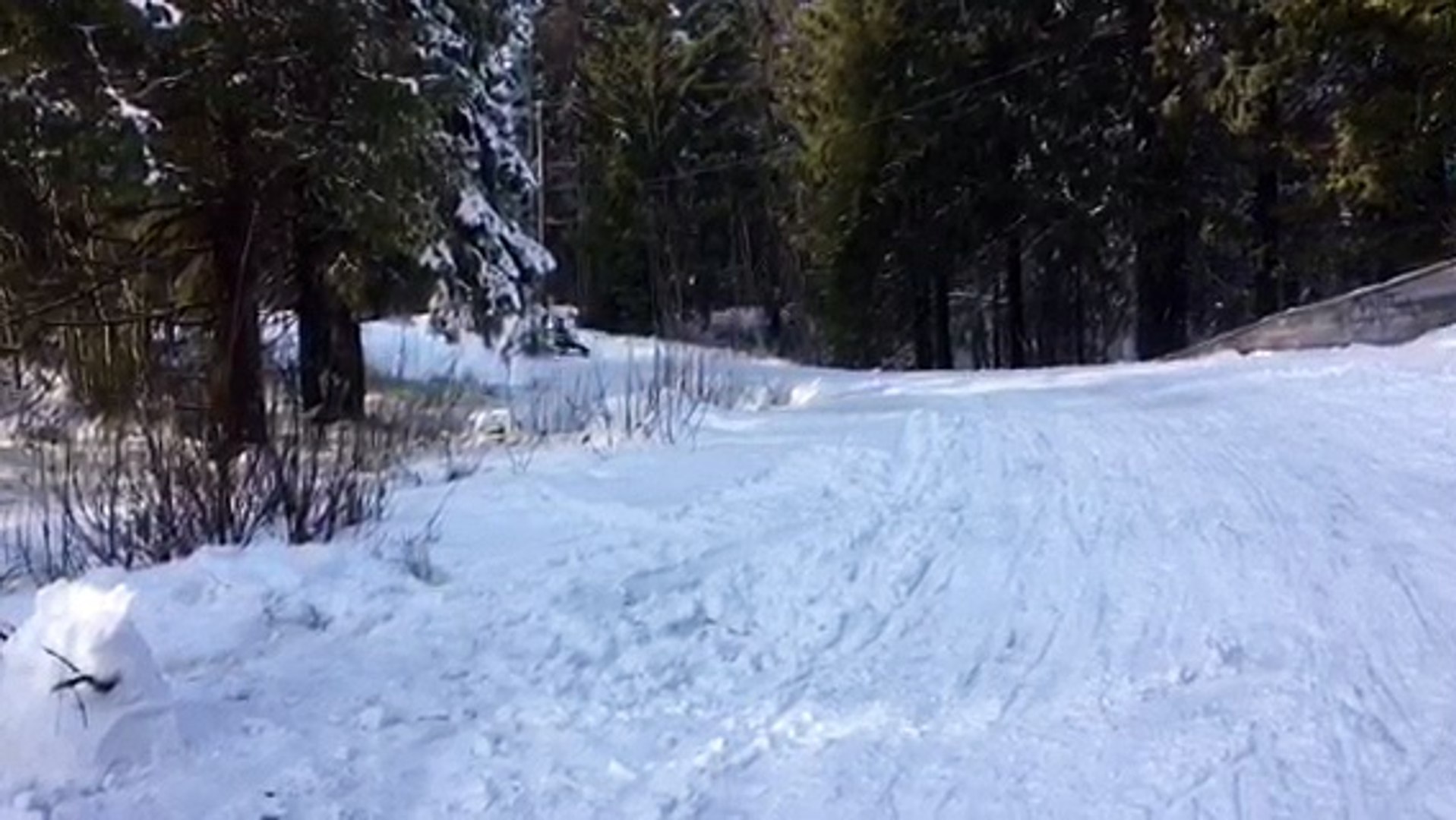sledge in Norway