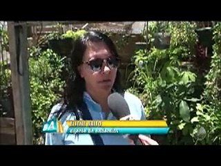 BATV: quarta-feira, 8 de Março