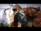 Might & Magic Heroes VII - Trailer de la Bêta