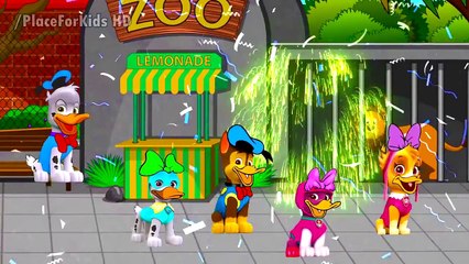 Paw Patrol Transforms Into Donald Duck - Finger Family Nursery Songs Compilation and More !