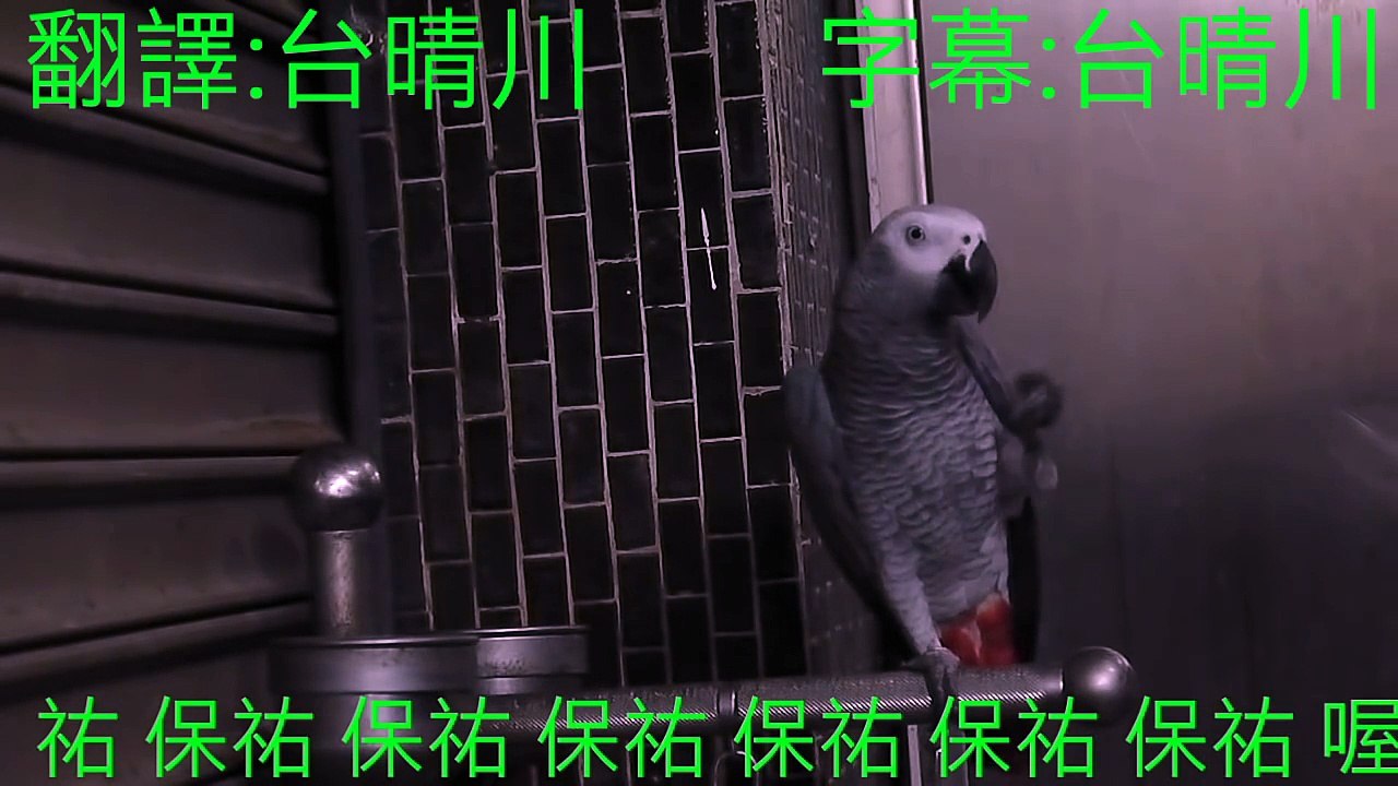 不爽