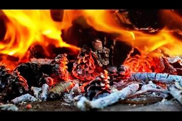 Cinemagraph Compilation