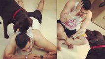 Ye Hai Mohabbatein Actor Karan Patel Gets NAUGHTY While Playing With His Dog  TellyMasala