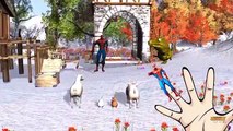 Frozen elsa dancing 3d animation Finger family - Colors captain america ironman rhymes for Kids