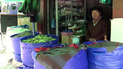 Opiniones encontradas en Bolivia tras ley sobre cultivo de coca