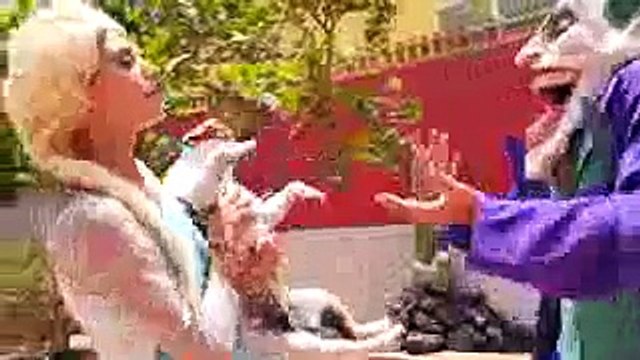 Человек-паук и замороженные elsa собака против Круэлла! Щенок похитил паука ж Анна, Халк, Firem Джокер
