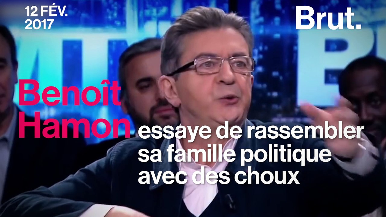 Benoît Hamon vu par ses camarades de gauche