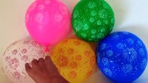 5 Fuegos artificiales Globos Dedo de la Familia de la Canción de Aprender los Colores Húmedos y con Globos para Bebés, Niño