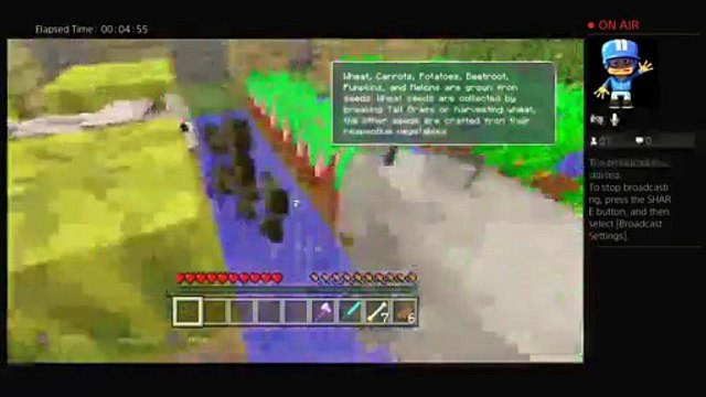 Graveyard bombers (9)