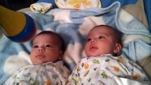 Adorable twin babies hilariously mesmerized by toy