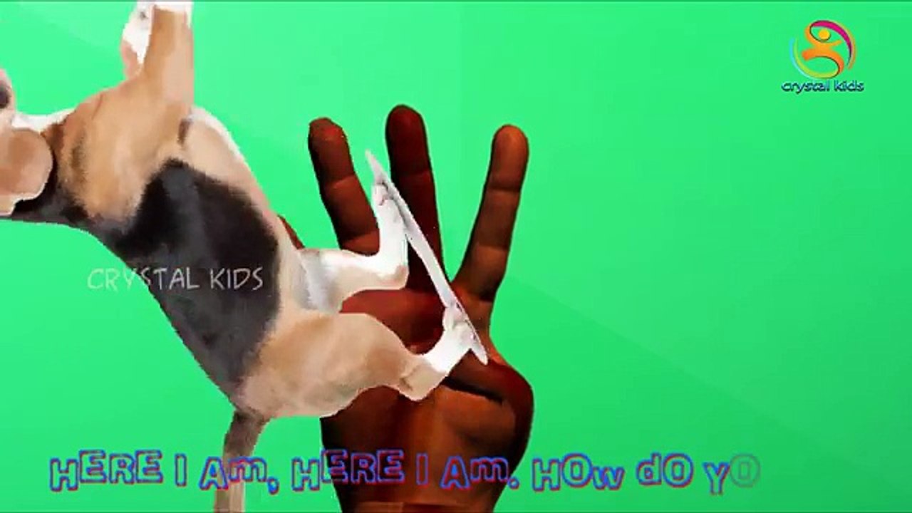 Los animales Dedo de la Familia | Familia Dedo canción | Niños Canciones | Animal Rimas infantiles para Childr