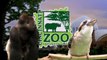 Animals Go Crazy for March Madness - Cincinnati Zoo