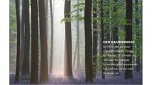 [Download PDF] Das geheime Leben der Bäume: Was sie fühlen, wie sie kommunizieren - die Entdeckung