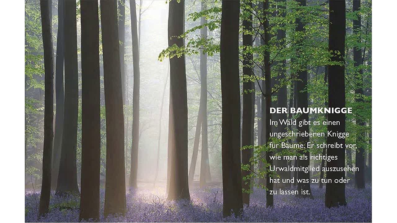 [Download PDF] Das geheime Leben der Bäume: Was sie fühlen, wie sie kommunizieren - die Entdeckung einer verborgenen Wel