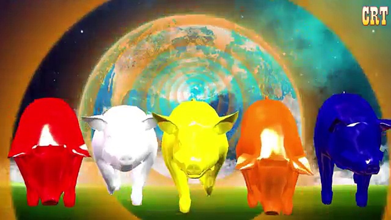 All Animals Colourfull Colour Song || Nursery Rhymes For Children Rhymes Tv Collection